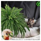 $51 45" Fake Ferns, Realistic Artificial Bush Plants, 2 Boston Ferns