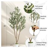 $50 6FT Artificial Olive Tree - Indoor Faux Olive Tree with Branches