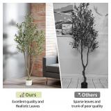 $50 6FT Artificial Olive Tree - Indoor Faux Olive Tree with Branches