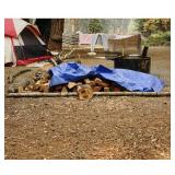 Grizzly Tarps by B-Air 8x10 Heavy-Duty Poly Tarp, 5 Mil