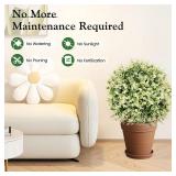 $51 Lewondr Boxwood Topiary Balls 22.83