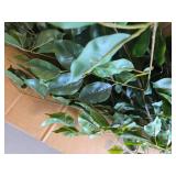$130 Ficus Tree 7ft, Large Potted Faux with Realistic Leaves