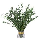 HIAGROW Real Eucalyptus Stems Greenery Decor 20PCS 17 Dried Willow Eucalyptus Plant Preserved Greenery Stems for Home Vase Filler Wedding Flowers Arrangement Spring Decorations