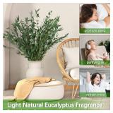 HIAGROW Real Eucalyptus Stems Greenery Decor 20PCS 17 Dried Willow Eucalyptus Plant Preserved Greenery Stems for Home Vase Filler Wedding Flowers Arrangement Spring Decorations