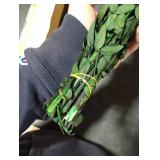 HIAGROW Real Eucalyptus Stems Greenery Decor 20PCS 17 Dried Willow Eucalyptus Plant Preserved Greenery Stems for Home Vase Filler Wedding Flowers Arrangement Spring Decorations