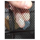 Sorbus Utensil Caddy Silverware, Napkin Holder, and Condiment Organizer Multi-Purpose Steel Mesh Caddy Ideal for Kitchen, Dining, Entertaining, Tailgating, Picnics, and much more (Black)