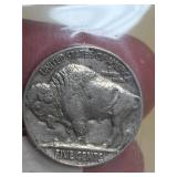 1937 Buffalo nickle