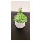 Artificial Succulent in White Ceramic Pot - Retail: $12