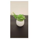 Artificial Succulent in White Ceramic Pot - Retail: $12