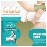 South Moon Burn-Fat Arm Slimming Moxibustion Patches - 12 PCS - Retail: $15