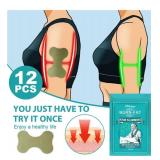South Moon Burn-Fat Arm Slimming Moxibustion Patches - 12 PCS - Retail: $15