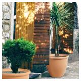 Worth Garden 2-Pack 15" Dia. Round Planters - Large Plastic Plant Pots with Drainage Hole for Indoor & Outdoor Use- Lightweight Decorative Flower Tree Containers for Porch, Patio, Yard, or Deck