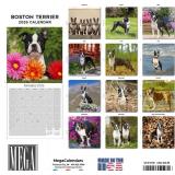 2025 2026 Boston Terrier Calendar - Dog Breed Monthly Wall Calendar - 12" x 24" Open - Thick No-Bleed Paper - Giftable - Academic Teacher