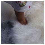 Retails for $170! Champlus Genuine Australian Merino Sheepskin Rug, 3.3x5 ft Sheep Skin Rug, Lambskin Area Rug, 3-Pelt, White