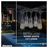Bulbrite 48-Foot String Light Kit with Clear Shatter Resistant Vintage Style S14 LED Light Bulbs