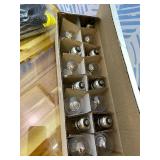 Bulbrite 48-Foot String Light Kit with Clear Shatter Resistant Vintage Style S14 LED Light Bulbs