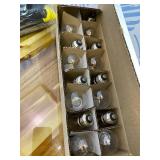 Bulbrite 48-Foot String Light Kit with Clear Shatter Resistant Vintage Style S14 LED Light Bulbs