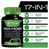 Irish Sea Moss Capsules, 17-in-1, Seamoss Black Seed Oil, 240 Count, Ashwagandha Burdock Root Organic Bladderwrack Capsules | Organic Sea Moss Advanced, Immune and Blood Pressure Support - 2 Pack