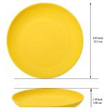 Berglander Plastic Plates Set of 12 Pieces 9", Reusable and Sturdy Unbreakable Dinner Plates, Salad Plates, Pasta Bowls, Dishes for Home, Kid, Light Weight Easy Carry for Picnic, Camping, Outdoor