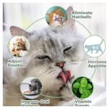 6Pack Cat Nip Ball Wall Catnip Balls That Stick On Wall Catnip Balls for Kitten Catnip Toys for Indoor Cats with 1 Cat Comb