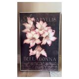 Amaryllis Belladonna Botanical Wall Art approximately 19 by 12 inches