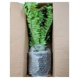 Artificial Fern Plants in Pot 18.8 Small Artificial Boston Fern 24 Leaves for Outdoors & Indoor Faux Potted Plant Fake Ferns Bush Plant Patio Garden Farmhouse Porch Home Decor Dusty Green - Retail: $2