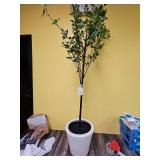 72\" Ficus Artificial Tree - Thresholdâ¢ designed with Studio McGee - Retail: $150