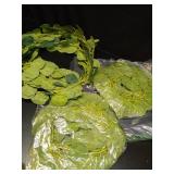 CEWOR 3 Pack Artificial Eucalyptus Garland 146 Leaves Greenery Silk Leaves Vines Artificial Silver Dollar Eucalyptus Plants for Wedding Party Home Decoration - Retail: $19