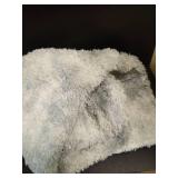 ROCYJULIN Area Rugs 5x7 for Bedroom, Fluffy 5x7 Area Rugs for Living Room, Ultra Soft Non-Slip Large Shag Fuzzy Rug for Nursery, Kids, Girls, Boys, Silver Grey - Retail: $25