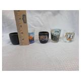 Souvenir Shot Glass Collection