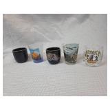Souvenir Shot Glass Collection