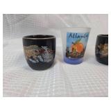 Souvenir Shot Glass Collection