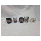 Souvenir Shot Glass Collection