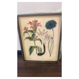 Wall art print garden floral framed - new