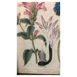 Wall art print garden floral framed - new