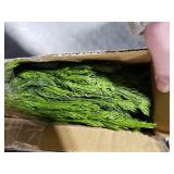 Juxdp 20 Pcs Real Touch Norfolk Pine Branches, Artificial Christmas Green Plants Branch Faux Greenery Stem Fake Pine Picks for Vase DIY Crafts Garland Wreath Xmas Indoor Outdoor Decor(18 Inches)