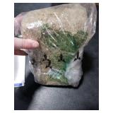 Halatool 4.4LBS Natural Sphagnum Moss for Plants 85 QT Premium Peat Moss Dried Long Fiber Orchid Moss for Orchid Repotting Carnivorous Succulents Garden Flowers Crafts Terrarium and Reptiles