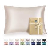 Bedsure Satin Pillowcase with Zipper, Similar to Silk Pillow Cases 2 Pack, Silky & Soft Satin Pillow Case Standard Size for Hair and Skin, Christmas Room Decor Gifts for Women Men, Beige, 20x26 Inches