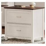 Vertical File Storage Cabinet With 2 Drawers, White With Brown Top