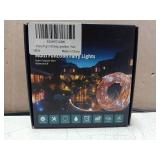 Anceleo 10M Waterproof Multi Function String Fairy Lights (2 Packs)