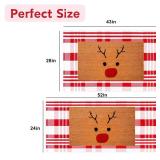 Fallovea Christmas Rugs Red and White Plaid, 28 x 43 Inches Area Rug Outdoor Indoor Front Porch Doormat Cotton Hand-Woven Layered Door Mats for Entryway Patio Entryway Laundry Bedroom Living Room