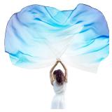 Jetec 2 Set 55" Praise Dance Flags with Scalable Rods - Semicircle Angel Wing Banners for Church (White Blue Blue)