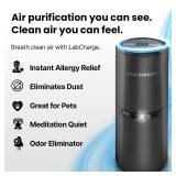 LabCharge Small Ionic Air Purifier for Home & Bedroom Silent HEPA Filter Covers 250 Sq Ft - Free Cleaner for Pets, Hair, Smoke, Dust, Odors & Dander Compact & Black Design - Pack of 5