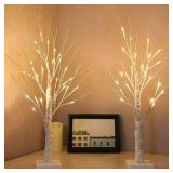 1 Pack 2FT Lighted Birch Tree with Timer for Christmas Decorations Indoor, Artificial Birch Tree with 48 LED Warm White Lights, Fairy Light Tabletop Centerpiece Tree for Christmas Winter Decorations