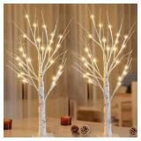 1 Pack 2FT Lighted Birch Tree with Timer for Christmas Decorations Indoor, Artificial Birch Tree with 48 LED Warm White Lights, Fairy Light Tabletop Centerpiece Tree for Christmas Winter Decorations