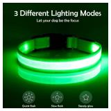Vizpet LED Dog Collar, Light Up Dog Collar Adjustable USB Rechargeable Super Bright Safety Light Glowing Collars for Dogs(X-Large,Green)