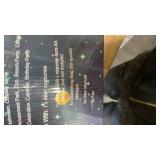 Alien costume for teens medium brand unknown