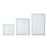 Amazon Basics Dog and Puppy Pee Pads with 5-Layer Leak-Proof Design and Quick-Dry Surface for Potty Training, Standard Absorbency, X-Large, 28 x 34 Inch - Pack of 60, Blue & White