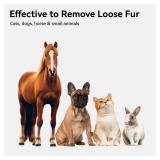 aumuca Cat and Dog Grooming Brush for Shedding, Removes Loose Fur from Long or Short Haired Pets - Ideal for Cats, Kittens, Rabbits, and More - Purple