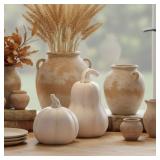 Bucherry Terracotta Pumpkins Decor, Fall Thanksgiving Decoration, 2 Pcs White Resin Pumpkin, Fake Figurine Table Centerpiece Decorations for Autumn Harvest, Farmhouse Kitchen